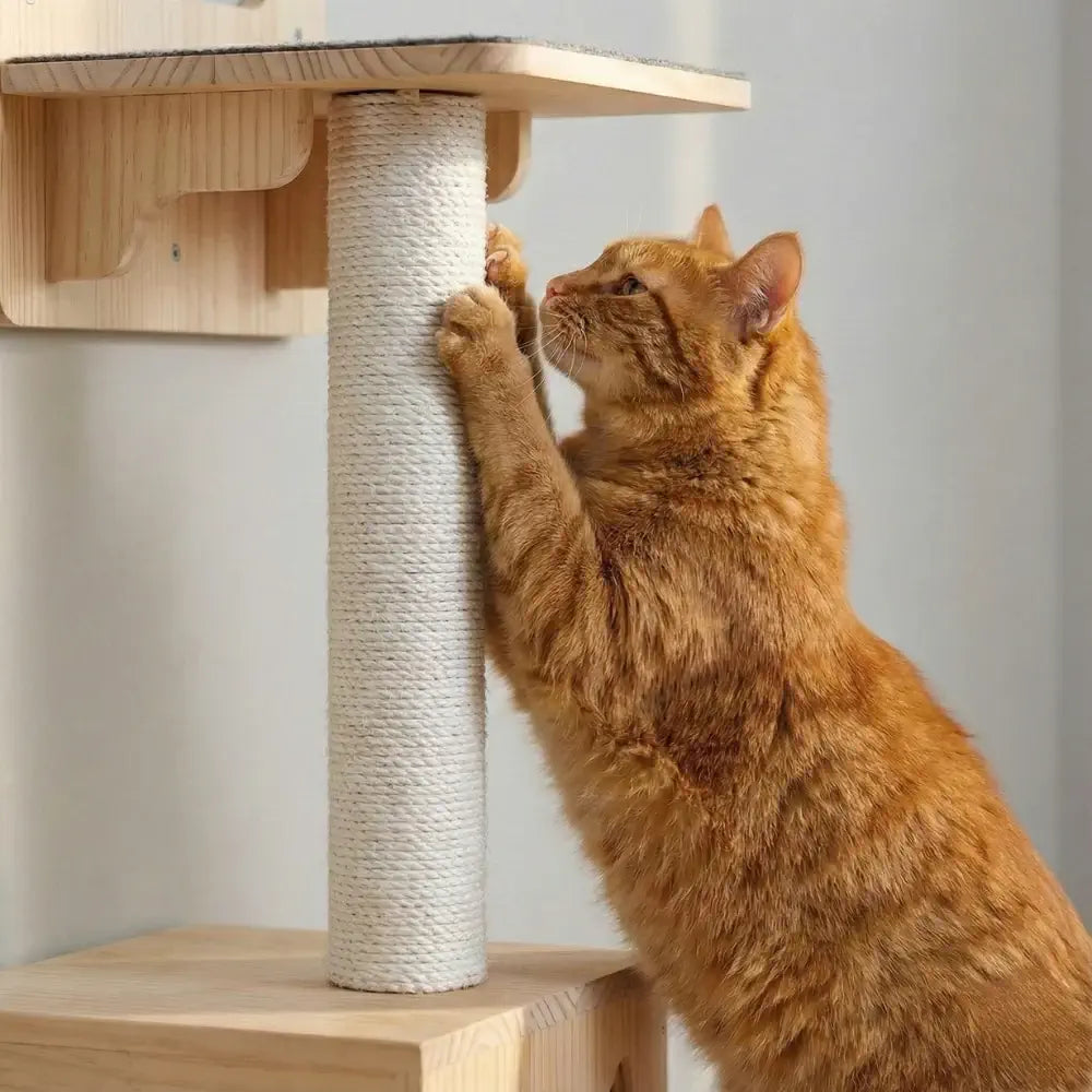 Quel arbre à chat choisir selon la taille et le caractère de votre chat ? | Maison felin