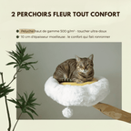 Arbre à chat en bois Gisou - 150cm - Maison felin