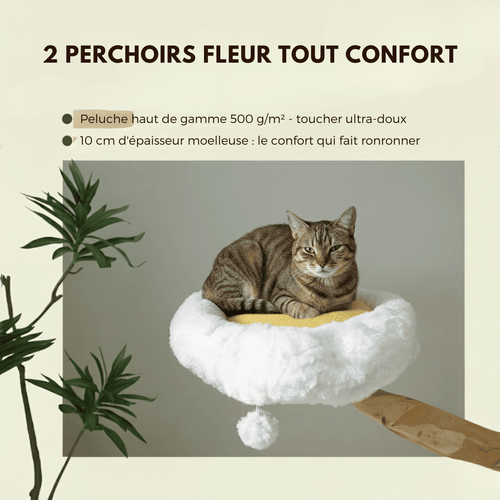 Arbre à chat en bois Gisou - 150cm - Maison felin