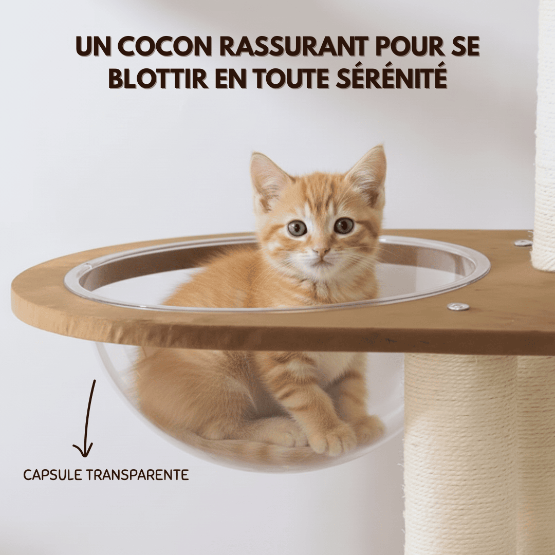 Arbre à chat en bois Pooky - 156 cm - Maison felin