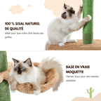 Arbre à chat XXL Luna - 229cm - Maison felin 