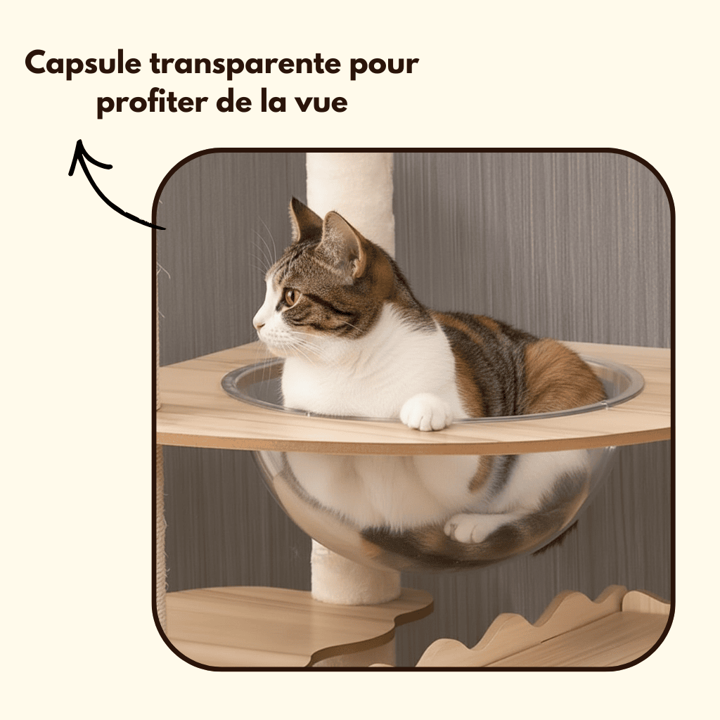 Arbre à chat en bois XXL Yumi - 170cm - Maison felin