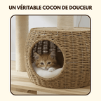 Arbre à chat en bois Pooky - 156 cm - Maison felin