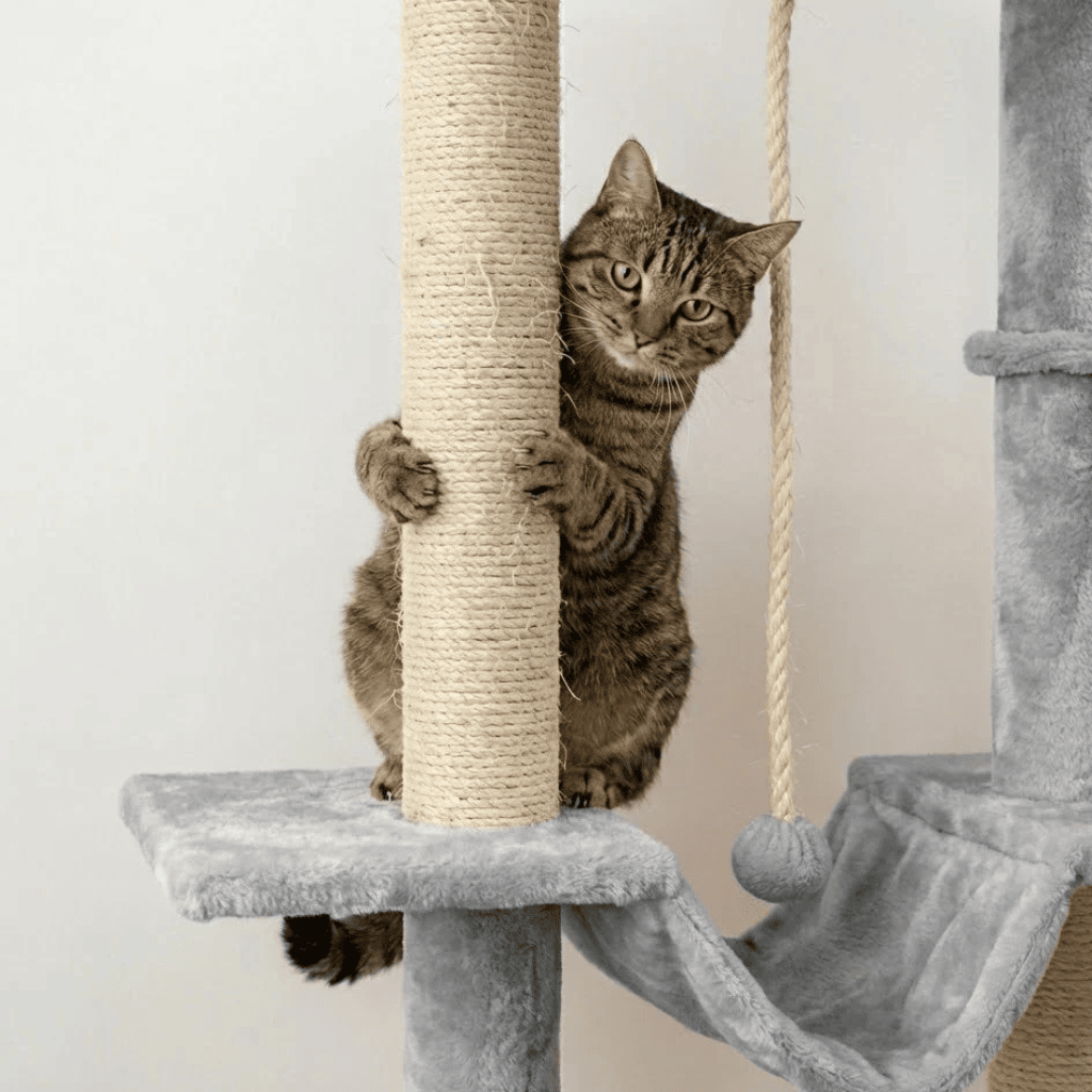 Arbre à chat XXL Liane - 170cm - Maison felin 