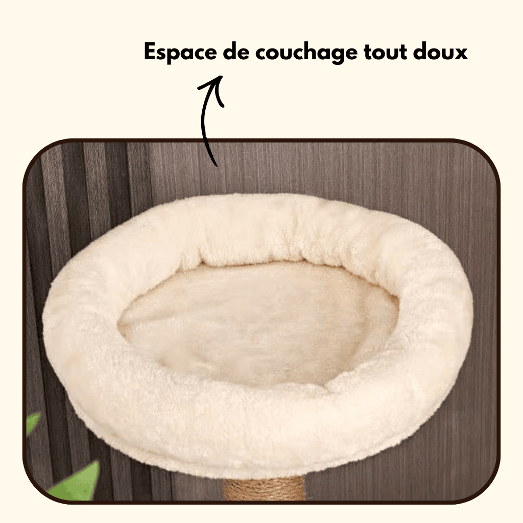 Arbre à chat en bois XXL Yumi - 170cm - Maison felin