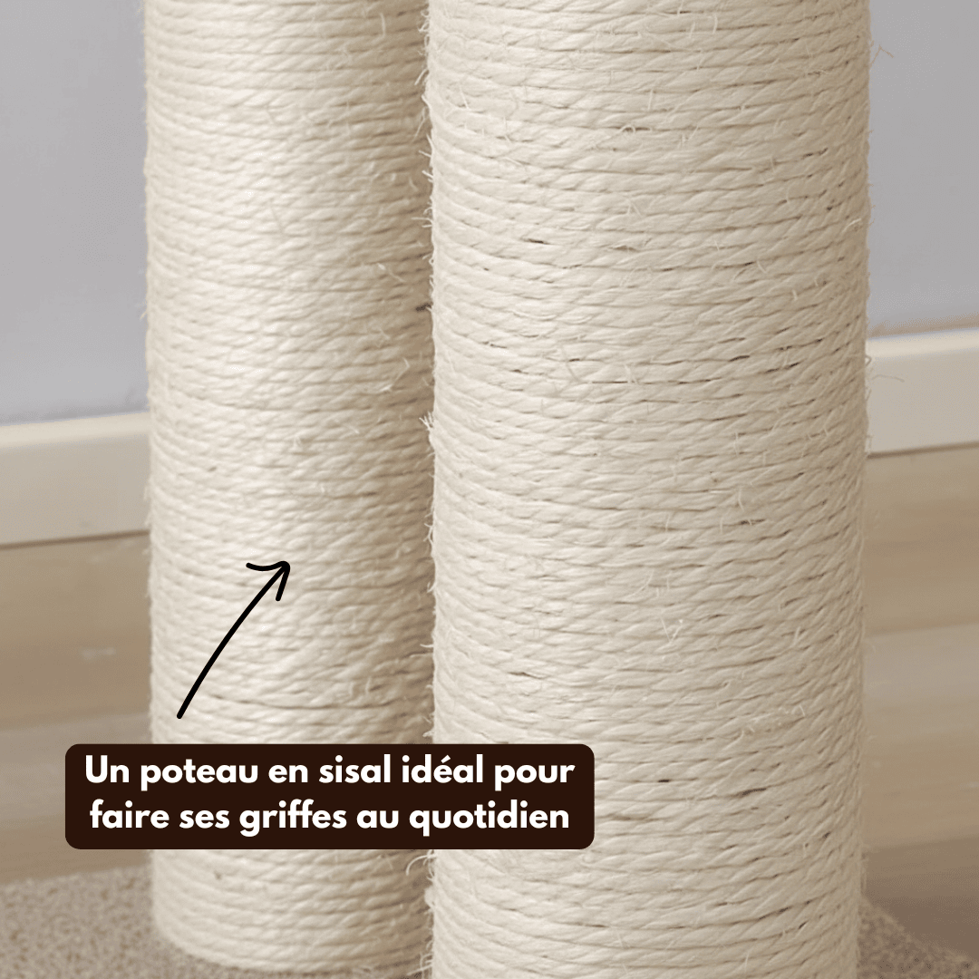 Arbre à chat en bois Pooky - 156 cm - Maison felin