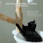 Arbre à chat en bois Gisou - 150cm - Maison felin