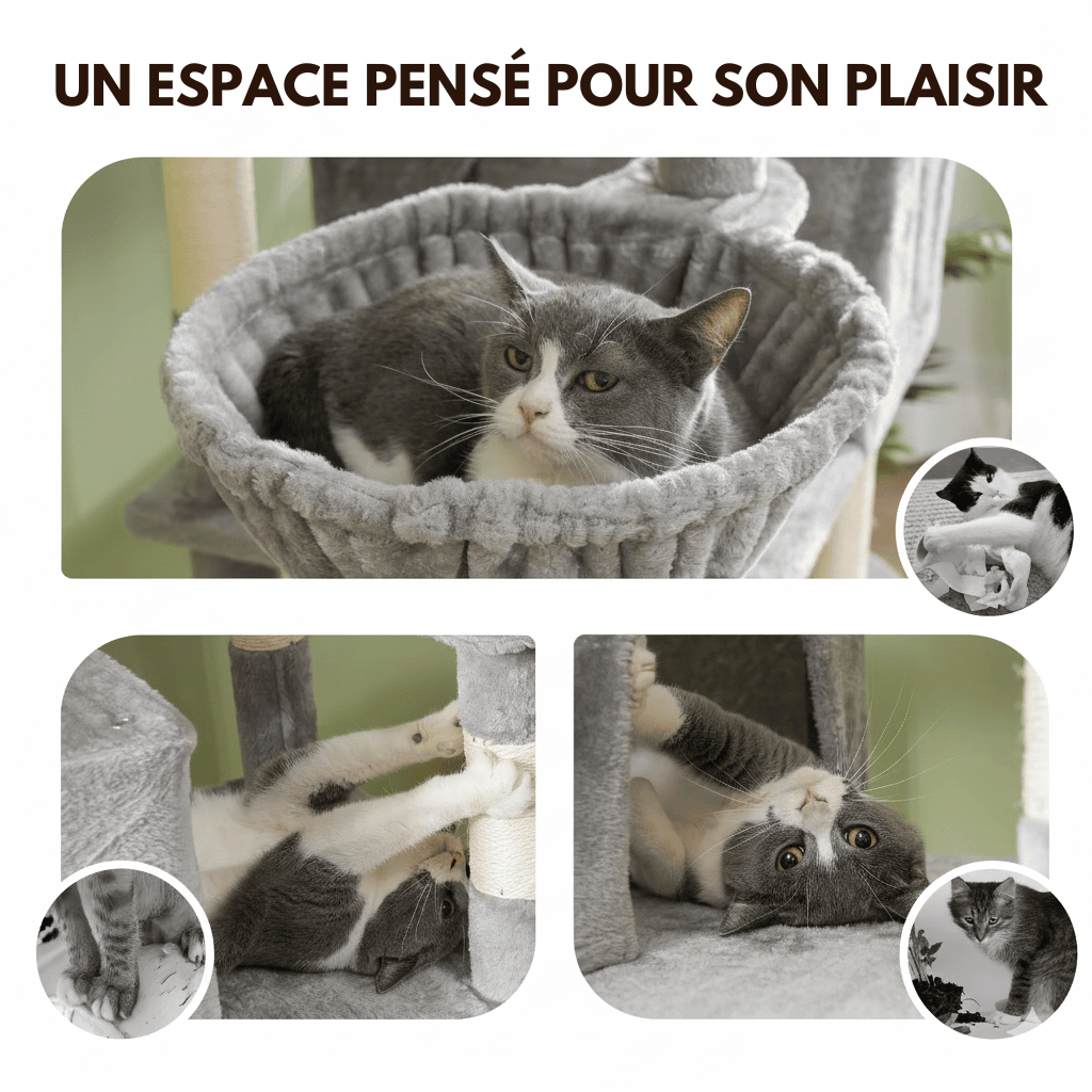 Arbre à chat XXL Éclipse - 206cm - Maison felin 